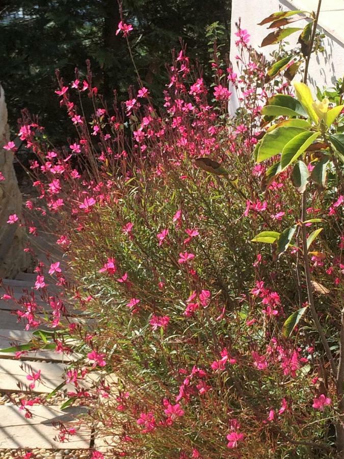 Bed and Breakfast Lousoan Aix-en-Provence Exterior foto